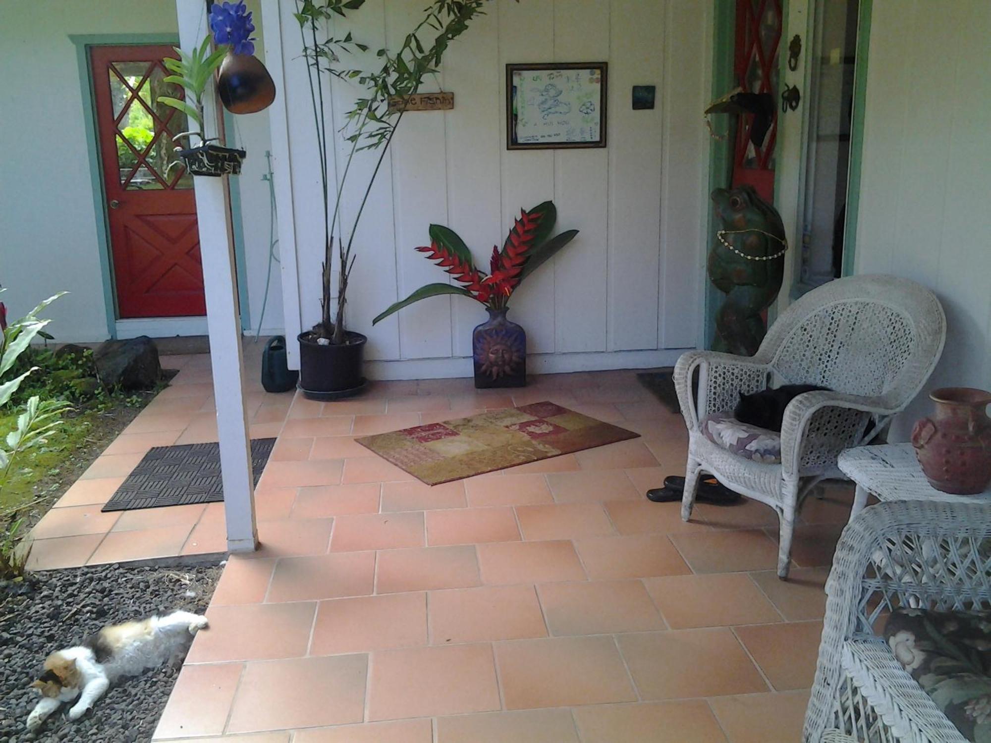 Pahoa Lava Tree Tropic Inn المظهر الخارجي الصورة