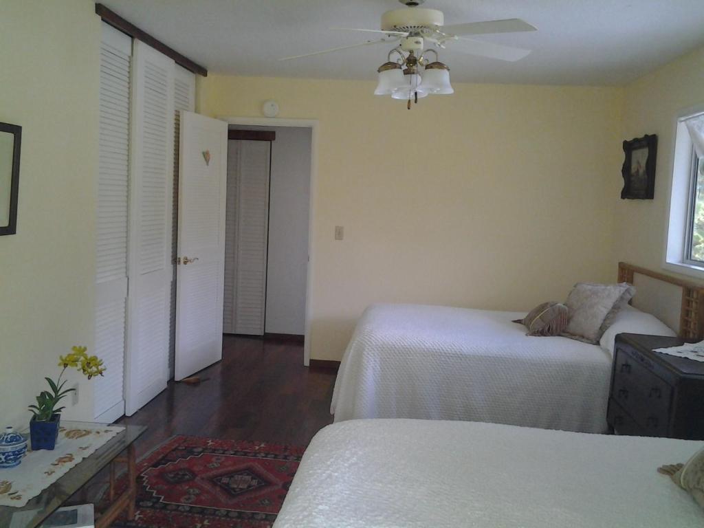 Pahoa Lava Tree Tropic Inn الغرفة الصورة