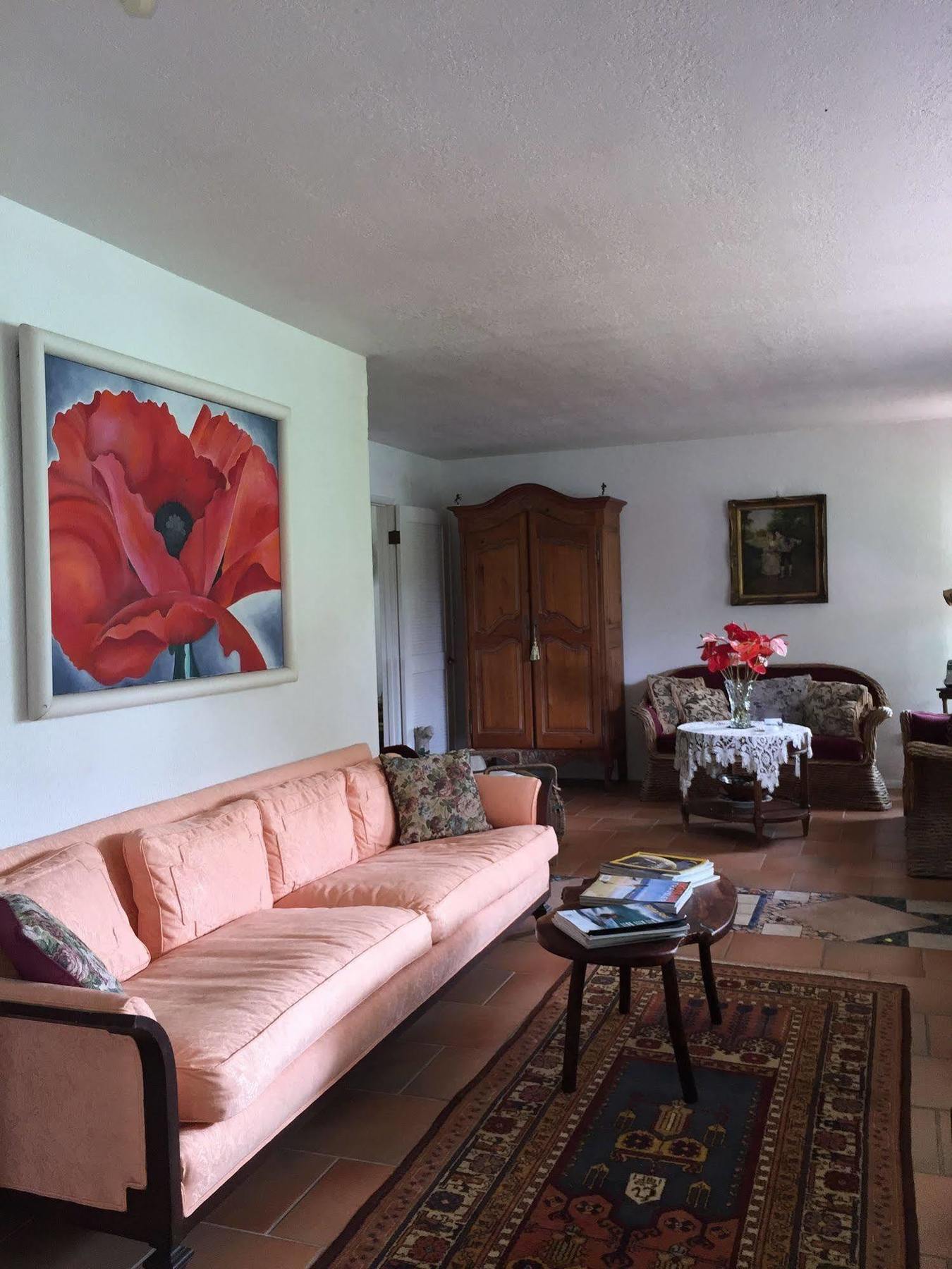 Pahoa Lava Tree Tropic Inn المظهر الخارجي الصورة